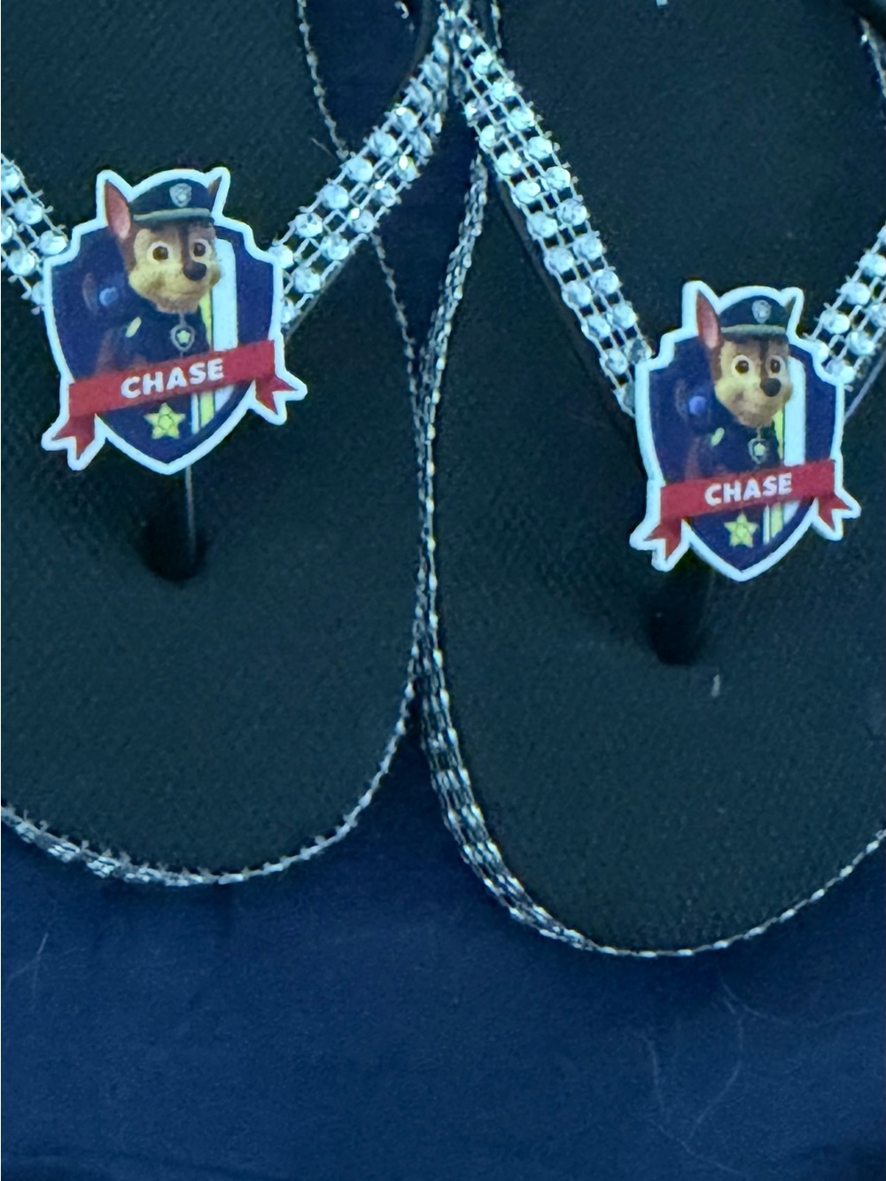 Paw Patrol Chase Black Flip Flops